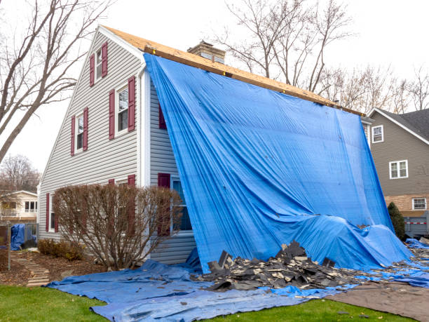 Best Shed Removal  in Sunnyvale, TX